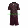 Maillot de Foot MexiqueEnfant Domicile  Copa America 2024